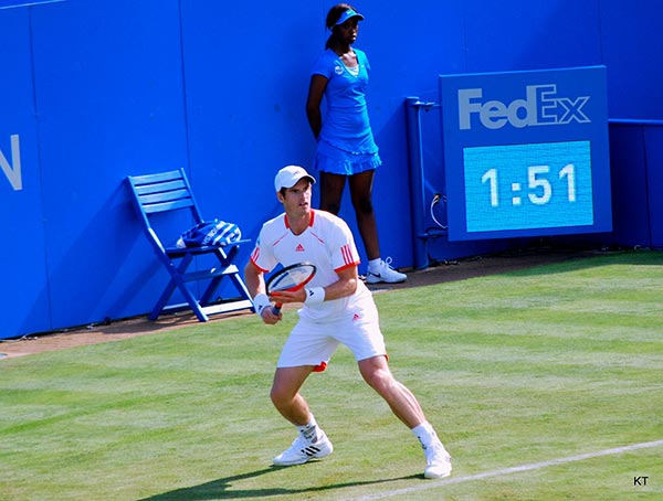 Andy Murray win Wimbledon