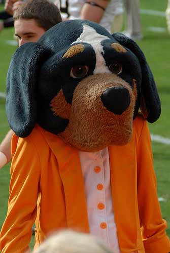 Tennessee Smokey mascot