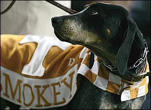 Vols Mascot Smokey