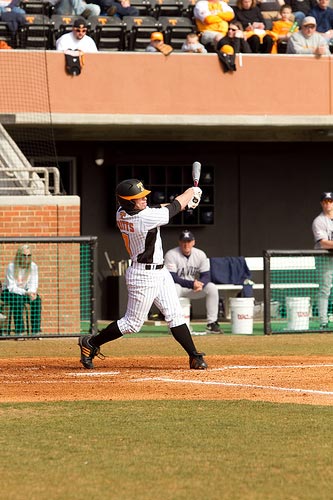 Tennessee Vols Baseball